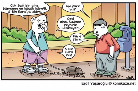 Erdil Yaşaroğlu Fare karikatürü