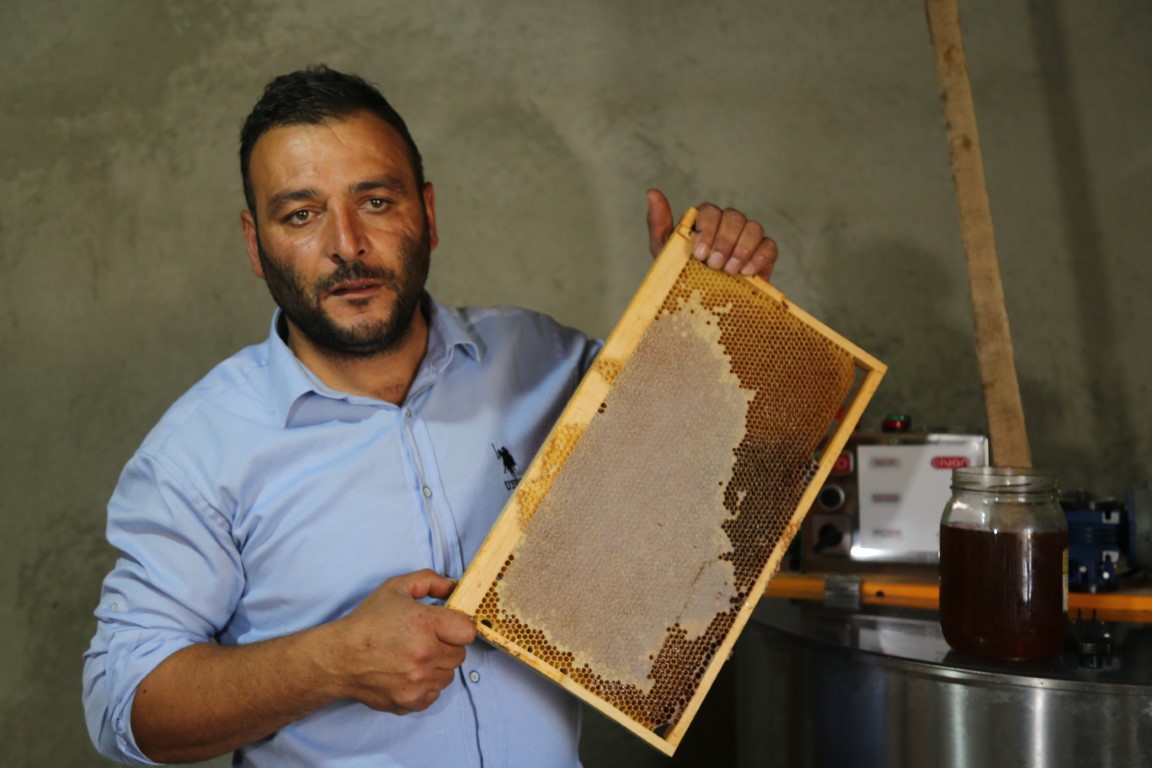 Keşfedilmesiyle, Türkiye'de farklı illerinden yeşil bala ilginin bir anda artığını ifade eden köy Muhtarı ve aynı zamanda 25 yıllık arıcı Ahmet Pehlivan, şuanda yeşil balın kilogram fiyatına 15 ile 20 bin lira arasında fiyat koyduklarını ifade etti.