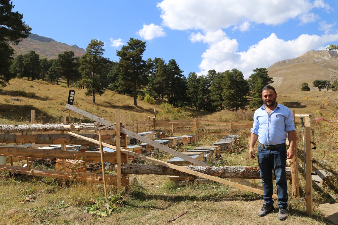 Artvin’in Ardanuç ilçesinde 89 nüfuslu köyde keşfedilerek markalaşması için çalışma başlatılan yeşil balın kilosu 20 bin liraya satılıyor.
