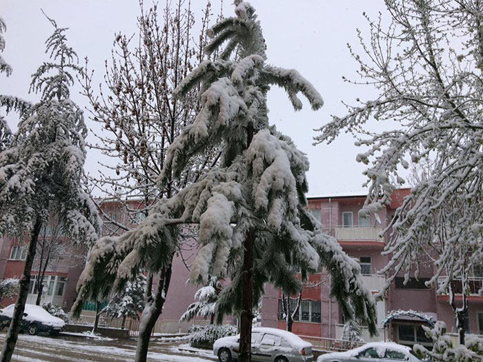 Eskişehir’de gece saatlerinde başlayan yoğun kar yağışı vatandaşlara sürpriz olurken, bazı yolların ise kapanmasına neden oldu. 