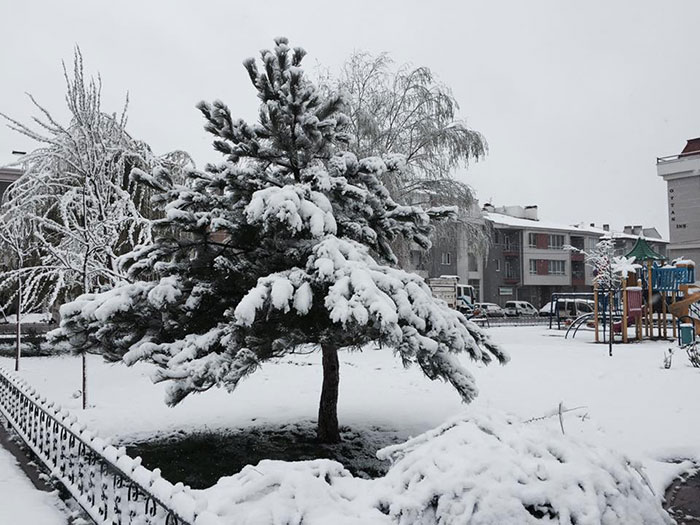 Eskişehir’de gece saatlerinde başlayan yoğun kar yağışı vatandaşlara sürpriz olurken, bazı yolların ise kapanmasına neden oldu. 