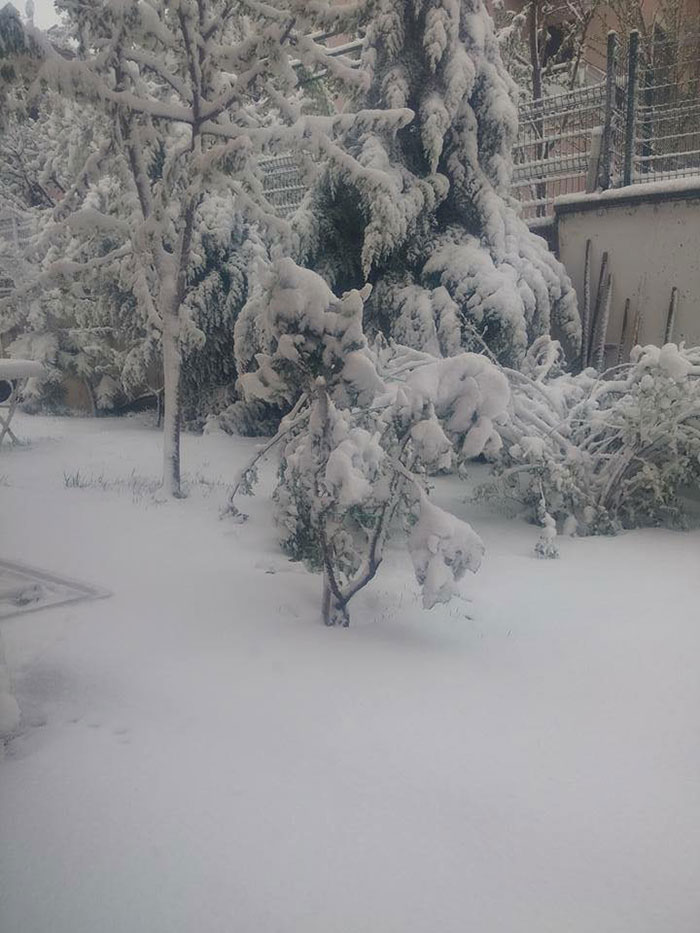 Eskişehir’de gece saatlerinde başlayan yoğun kar yağışı vatandaşlara sürpriz olurken, bazı yolların ise kapanmasına neden oldu. 