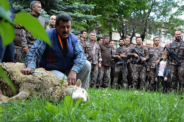 Türk Silahlı Kuvvetlerinin (TSK) Afrin’de yürüttüğü Zeytin Dalı Harekatı’na destek olmak için Eskişehir’den Afrin’e giden Polis Özel Harekat (PÖH) ekibi geri döndü. 