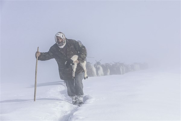 Anadolu Ajansı, "haber", "yaşam" ve "spor" kategorilerindeki 68 seçkin fotoğrafı,  tüm dünyada oylamaya açtı. 