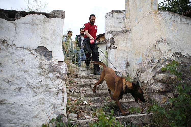 Ankara'da Narkotik Suçlarla Mücadele Daire Başkanlığı tarafından "Narko-Park", "Narko-Metruk", "Narko-Sokak" ve "Narko-İlçe" adlarıyla eş zamanlı uyuşturucu operasyonu düzenlendi.