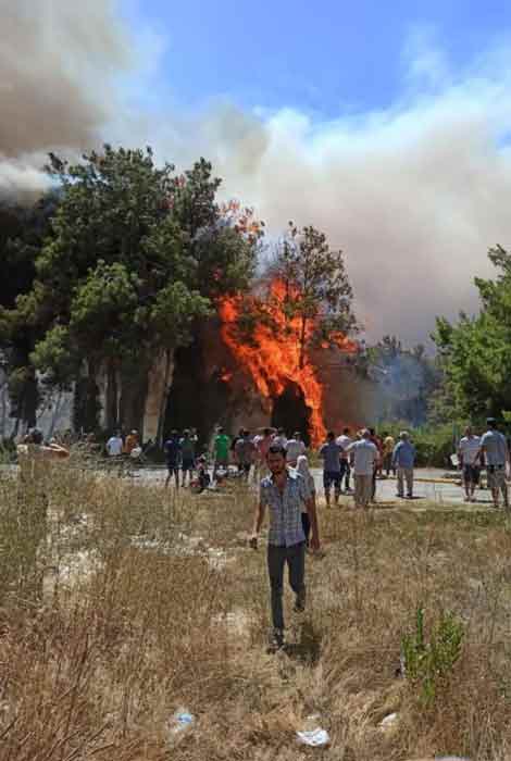 Manavgat ilçesi Yeniköy Mahallesi'nden başlayan yangın, rüzgarın da etkisiyle hızla yayıldı.