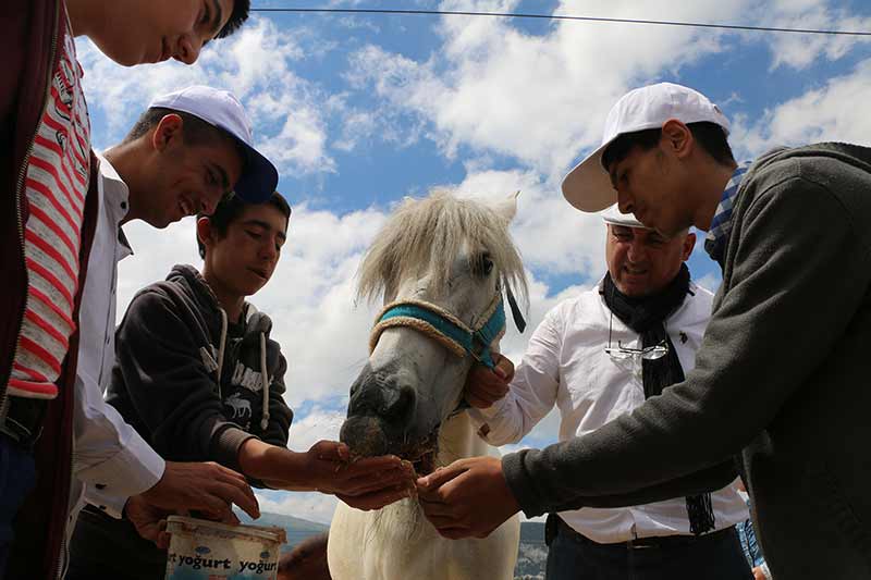 Kütahya'da bir eğitim merkezinde, atla terapi (hippoterapi) uygulamasıyla engelli çocukların öz güven kazanması ve sosyalleşmeleri sağlanıyor.