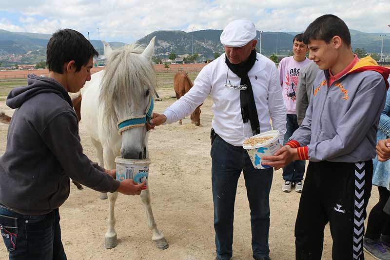 Kütahya'da bir eğitim merkezinde, atla terapi (hippoterapi) uygulamasıyla engelli çocukların öz güven kazanması ve sosyalleşmeleri sağlanıyor.