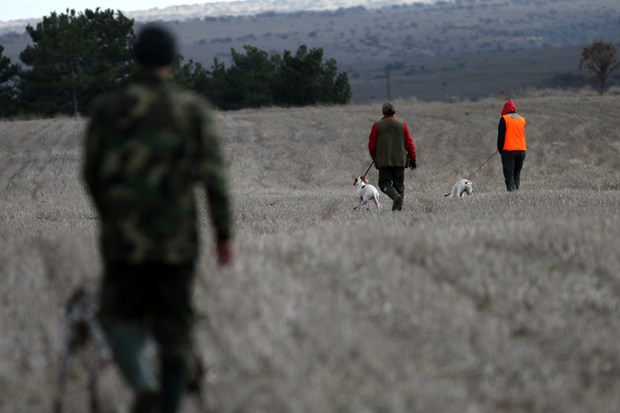 Köpek Irkları ve Kinoloji Federasyonunca (KIF) düzenlenen ''İngiliz ve Continental Irklar Ali Faik Altınel Mera Yarışması''nda, farklı ırklara mensup av köpekleri birinci olabilmek için yarıştırıldı.