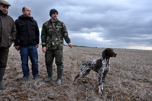 Köpek Irkları ve Kinoloji Federasyonunca (KIF) düzenlenen ''İngiliz ve Continental Irklar Ali Faik Altınel Mera Yarışması''nda, farklı ırklara mensup av köpekleri birinci olabilmek için yarıştırıldı.