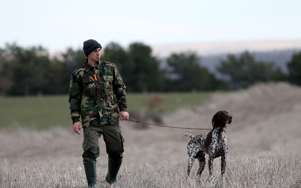 Köpek Irkları ve Kinoloji Federasyonunca (KIF) düzenlenen ''İngiliz ve Continental Irklar Ali Faik Altınel Mera Yarışması''nda, farklı ırklara mensup av köpekleri birinci olabilmek için yarıştırıldı.