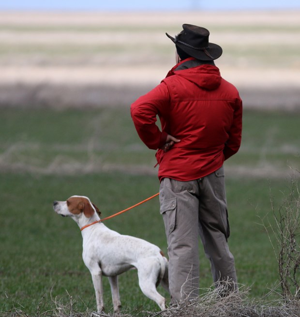 Köpek Irkları ve Kinoloji Federasyonunca (KIF) düzenlenen ''İngiliz ve Continental Irklar Ali Faik Altınel Mera Yarışması''nda, farklı ırklara mensup av köpekleri birinci olabilmek için yarıştırıldı.