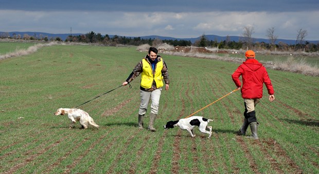 Köpek Irkları ve Kinoloji Federasyonunca (KIF) düzenlenen ''İngiliz ve Continental Irklar Ali Faik Altınel Mera Yarışması''nda, farklı ırklara mensup av köpekleri birinci olabilmek için yarıştırıldı.