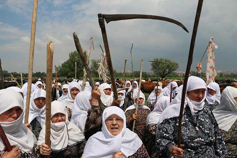 Kütahya'nın İnköy mahallesi sakinleri, hayvanlarını otlattıkları meraya müze binası yapılmasını şehirler arası karayolunu trafiğe kapatarak protesto etti. 