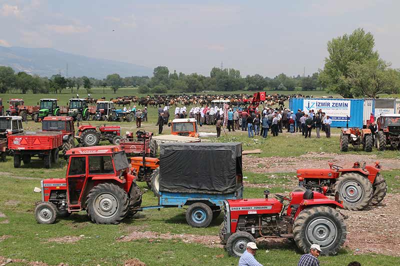 Kütahya'nın İnköy mahallesi sakinleri, hayvanlarını otlattıkları meraya müze binası yapılmasını şehirler arası karayolunu trafiğe kapatarak protesto etti. 