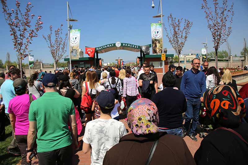 Büyükşehir Belediyesi, merakla beklenen Hayvanat Bahçesi’ni Sazova Bilim, Kültür ve Sanat Parkı’nda hizmete açtı. Hayvanat Bahçesi’ni ilk gününde 19 bin kişi ziyaret etti.