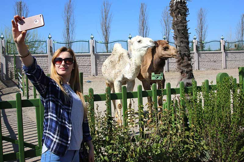 Büyükşehir Belediyesi, merakla beklenen Hayvanat Bahçesi’ni Sazova Bilim, Kültür ve Sanat Parkı’nda hizmete açtı. Hayvanat Bahçesi’ni ilk gününde 19 bin kişi ziyaret etti.