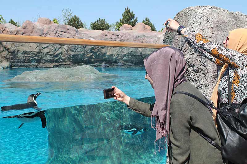 Büyükşehir Belediyesi, merakla beklenen Hayvanat Bahçesi’ni Sazova Bilim, Kültür ve Sanat Parkı’nda hizmete açtı. Hayvanat Bahçesi’ni ilk gününde 19 bin kişi ziyaret etti.