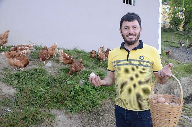 Ordu’nun Gülyalı ilçesinde tavuk yetiştiren bir kişi, başlattığı ‘mobil köy yumurtası’ servisi ile ürünlerini müşterilerin ayağına kadar götürüyor.