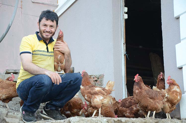 Ordu’nun Gülyalı ilçesinde tavuk yetiştiren bir kişi, başlattığı ‘mobil köy yumurtası’ servisi ile ürünlerini müşterilerin ayağına kadar götürüyor.