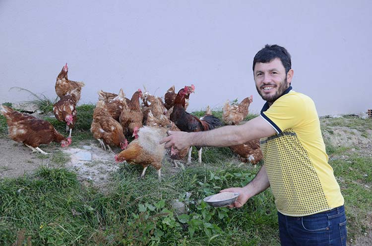 Ordu’nun Gülyalı ilçesinde tavuk yetiştiren bir kişi, başlattığı ‘mobil köy yumurtası’ servisi ile ürünlerini müşterilerin ayağına kadar götürüyor.