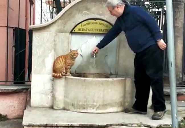 Vatandaşlar da ona alışmış ve onun ne zaman su istediğini biliyor.