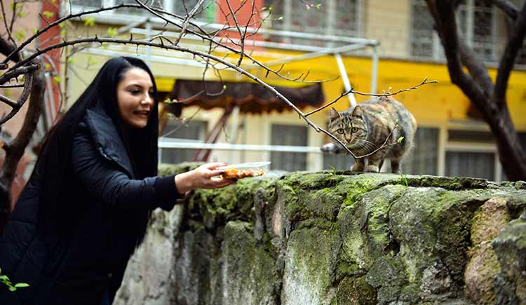 Eskişehir'de özel bir şirkette çalışan 28 yaşındaki Zeynep Burcu Tekin, sokak hayvanlarına yardım etmek için mama karşılığında özel ders veriyor.