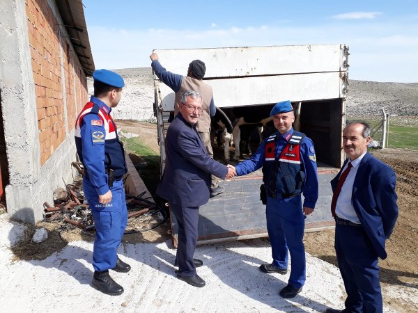 Hırsızlık olayının şüphelileri H.Y., M.A.A. ile T.Y., jandarma ekipleri tarafından yapılan eş zamanlı operasyonda yakalandı. Gözaltına alınan şüphelilerin jandarmadaki sorgularının devam ettiği öğrenildi.