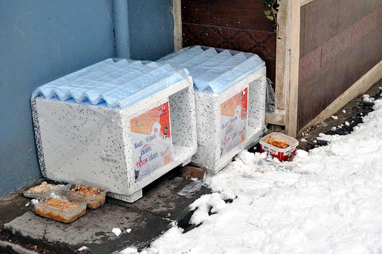 Eskişehir'de, sosyal medya aracılığıyla bir araya gelen Düş Bahçesi Çocukları Topluluğu üyeleri, kış mevsiminde sokak kedilerinin barınması amacıyla kentte belirlediklere alanlara "kedi evleri" yerleştiriyor.