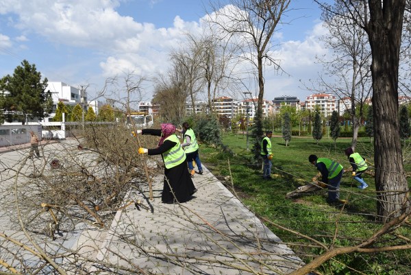 İyi durumdaki ağaçların ise budamaları yapılıyor. Daha çok parkın dış çevresinde yer alan kavak, aylantus, gladiçya, akasya ve maklora gibi ömrü 20-25 yıl olan, park ve peyzaj sahalarında makbul olmayan ağaçların yerine, ömrü 100 yıldan fazla olan çam ve çınar türleri dikilecek.”