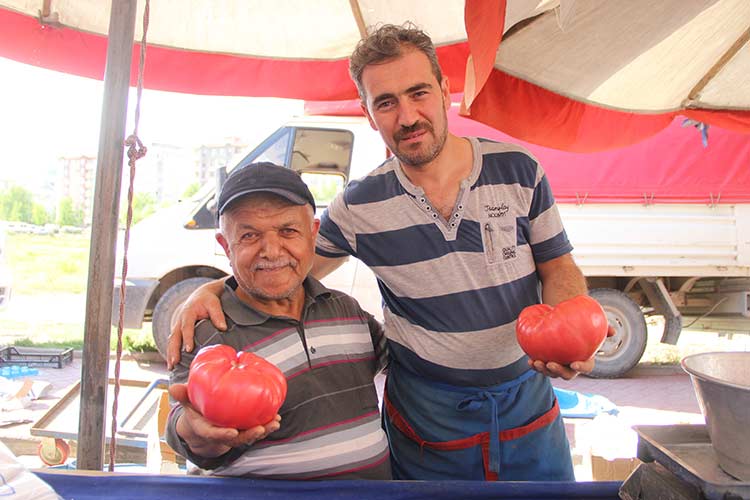 Eskişehir'de 12 senedir pazarcılık yapan Ali Akbıyık, kendisine ait serada 1 kilo 200 gram ağırlığında domates üretti.