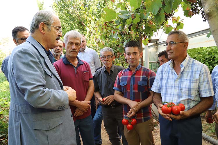 Büyükşehir Belediyesi’nin İç Anadolu’nun Çukurova’sı sayılan Sarıcakaya ve Mihalgazi’de geçtiğimiz Nisan ayında dağıttığı 263 bin domates fidesinden bereket fışkırdı.