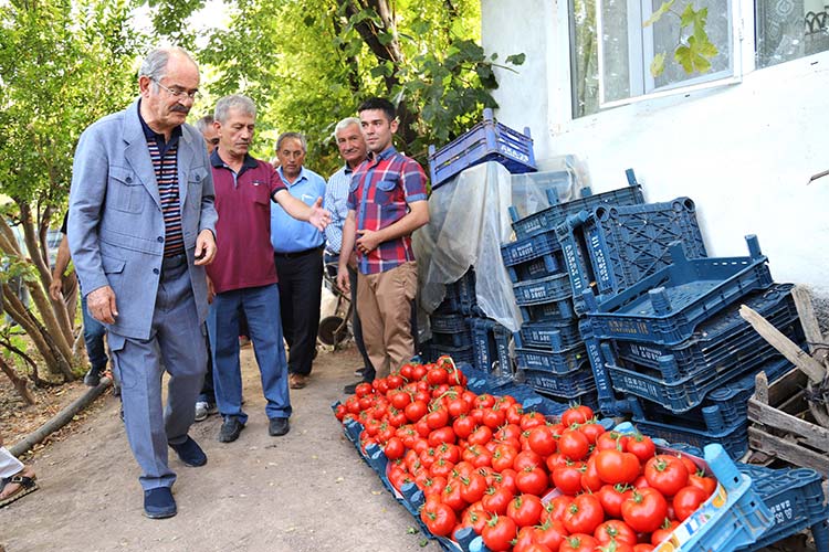 Büyükşehir Belediyesi’nin İç Anadolu’nun Çukurova’sı sayılan Sarıcakaya ve Mihalgazi’de geçtiğimiz Nisan ayında dağıttığı 263 bin domates fidesinden bereket fışkırdı.