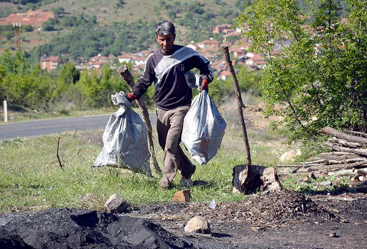 Eskişehir Mihalgazi ilçesinde iki kardeş, geçimlerini ormandan temin ettikleri meşe ağacından odun kömürü üreterek sağlıyor. 