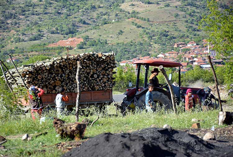 Eskişehir Mihalgazi ilçesinde iki kardeş, geçimlerini ormandan temin ettikleri meşe ağacından odun kömürü üreterek sağlıyor. 