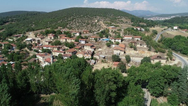 Bursa’nın Orhaneli ilçesinde üretilen eşek sütünün litresi 100 liradan Türkiye’nin her yerine satılıyor. 