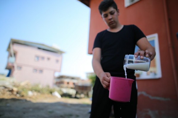 Öte yandan eşek sütü boğmaca, bronşit, astım gibi hastalıklarla beraber cilt, karaciğer, kolon ve mide kanserine karşı etkili. Kemik erimesinin de önüne geçen eşek sütü, çocukların hem zihnî, hem bedenî gelişiminde etkili. 