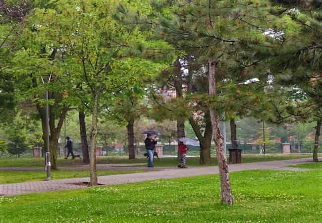 Meteorolojiden alınan verilere göre hava sıcaklıkları ise hafta sonuna kadar serin ve yağmur yağışlı olarak seyredecek.