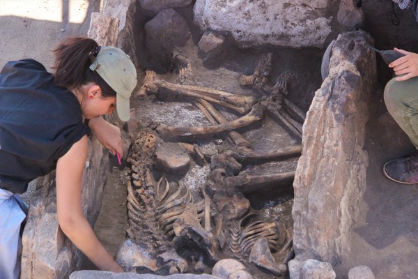 Bu çalışmaların devam etmesini arzuluyoruz. Yar altındaki tarih ortaya çıkarılırsa Seyitgazimizin turizmine katkı vereceğini düşünüyoruz. Burada arkeolojik bir köy projemiz var, görüşmelerimiz devam ediyor. Projemizi gerçekleştirebilirsek burası arkeolojik köy alanı olacak ve buraya ziyaretçi kabul edeceğiz.