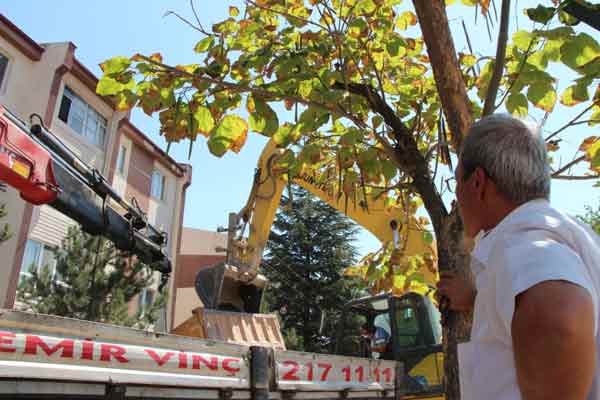 Apartman sakinlerinden Osman Yalçınsoy, sabah saatlerinde olay ile birlikte deprem şiddetinde bir sarsıntı olduğunu belirtti.