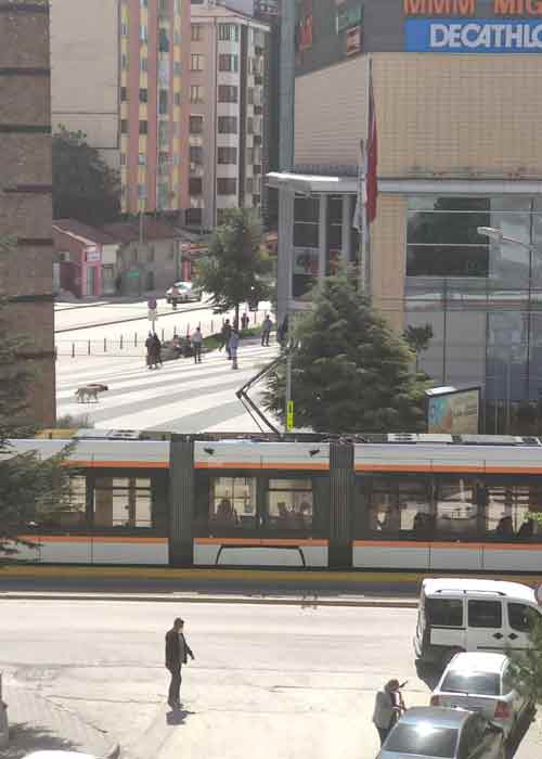 Vatandaş AVM açılana kadar uzun bir kuyruk oluşturarak içeriye girmeyi bekledi.