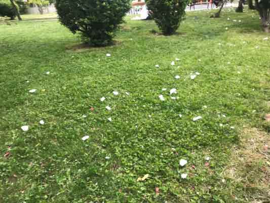 Mahallede yaşayan vatandaşlar, çocukların parkta uzun süre vakit geçirmesine dikkat çekerek, yetkililerden temizlik konusunda yardım istedi.