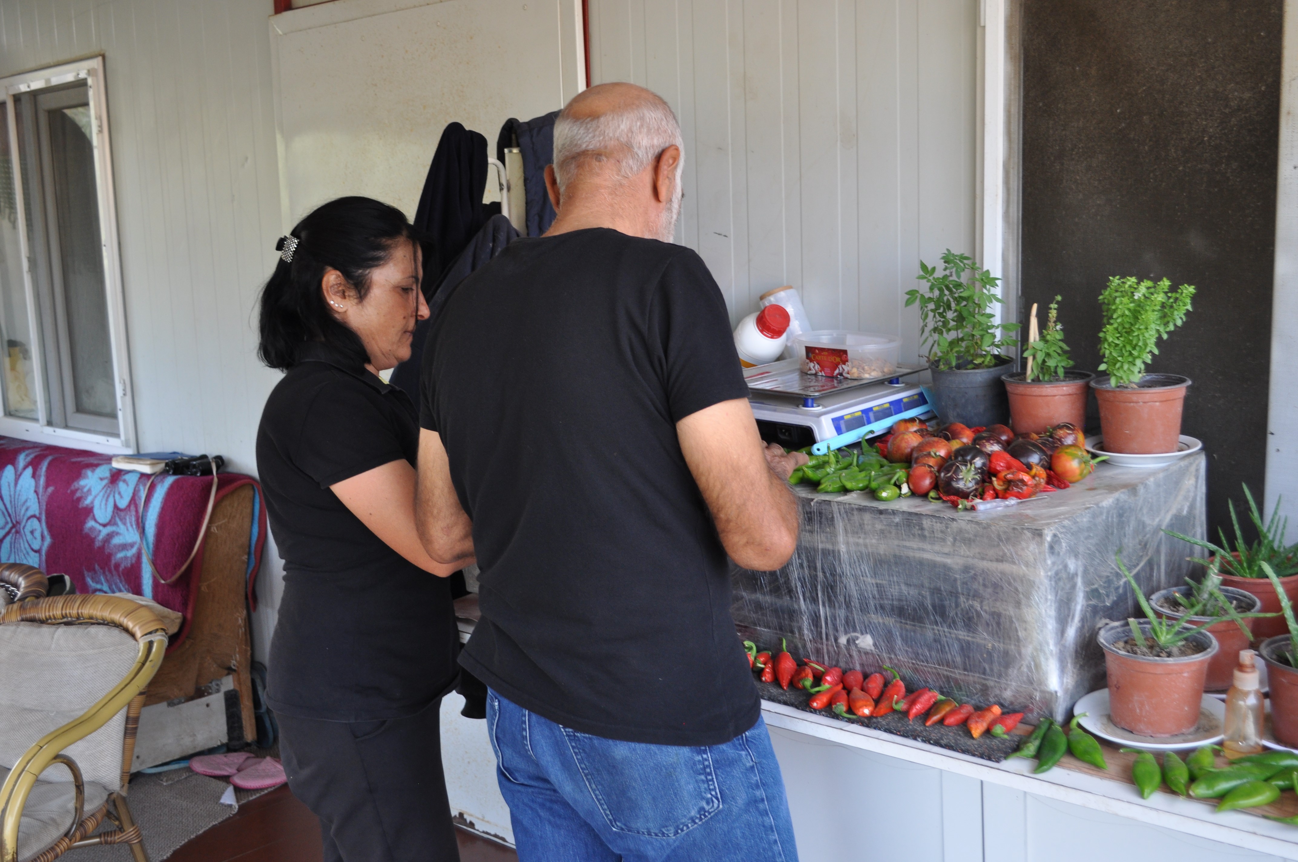 Ürettikleri ürünlerle ticaret yapmayan ve maddi gelir sağlamayan çift, dışarıdan alınması gereken zorunlu ihtiyaçlarını ise takas yaparak karşılıyor. Bu nedenle piyasadaki güncel fiyatlardan da haberlerinin olmadığını aktaran çift, doğayla iç içe olmanın kendilerini mutlu ettiğini belirtti.