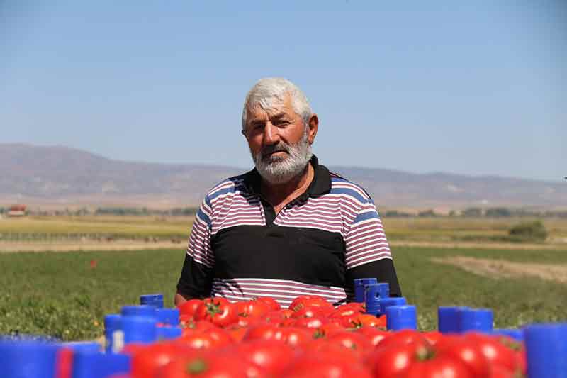  Üreticimiz kendi çapında çare bulmaya çalışıyor. Üreticimiz artık göçmene döndü. Nerede su bittiyse başka yerden tarla kiralama ve üretim yapmak için yer değiştirir hale geldi. Bu aslında üretim için çok güzel ama susuzluk zor duruma sokuyor” ifadelerini kullandı.