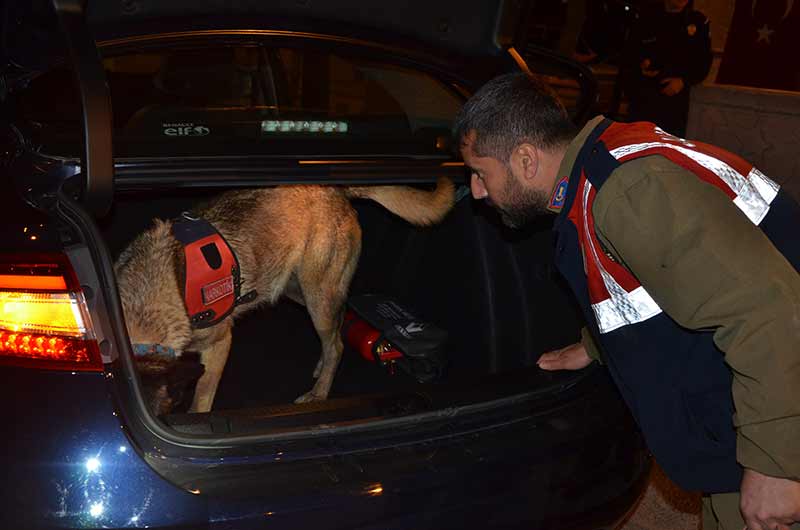 Eskişehir Emniyet Müdürlüğü ve Eskişehir İl Jandarma Komutanlığı, Eskişehir genelinde 405 jandarma ve 952 polisin katılımı ile asayiş uygulaması gerçekleştirdi. 