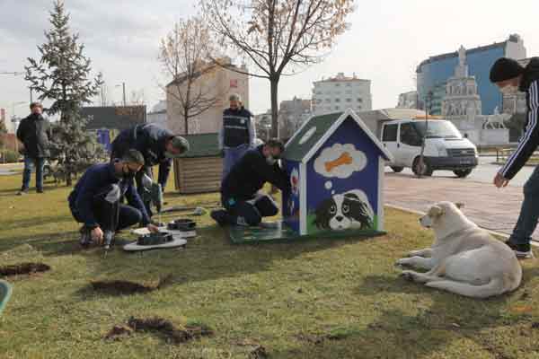 Büyükşehir Belediyesi ve Eskişehir Kent Konseyi’ne duyarlılıklarından dolayı teşekkür eden Eskişehirli hayvanseverler...