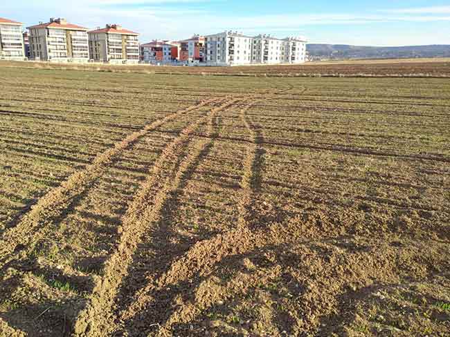 Eskişehir’de, kimliği belirsiz kişi veya kişilerin keyif yapmak için bir bölümü ekili olan arazilere ATV araçları ile girip tur atarak zarar vermeleri çiftçileri isyan ettirdi.