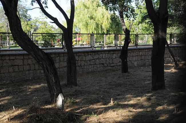 Eskişehir’de uzun yıllar önce taşınan ve yerine park yapılan mezarlığın bir bölümü hala kaldırılmadı. Parkların arasında kalan mezarların neden hala taşınmadığı merak konusun olurken, Şarhöyük Mahalle Muhtarı Abdullah Tepekaya, bu alana söz verildiği gibi cami yapılmasını talep ettiklerini belirtti.