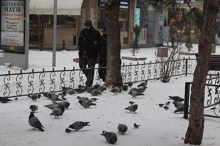 Eskişehir’de etkili olan soğuk hava yerini sabah saatlerinde kar yağışına bırakırken hayatı da olumsuz etkiledi.