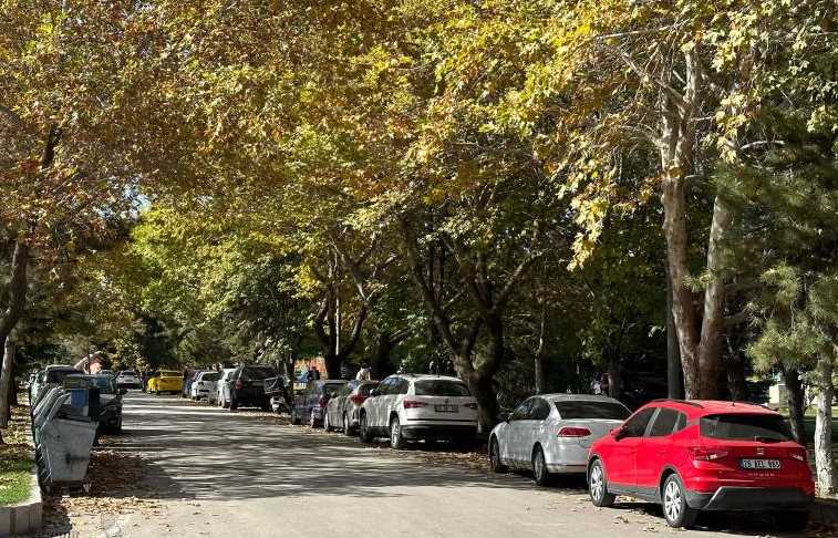 Eskişehir'de bulunan 3 üniversitenin kampüslerinde ki sonbahar manzaraları mest etti. Sonbahar aylarının gelmesiyle birlikte ağaç yapraklarının büründüğü renk adeta kendine hayran bırakıyor. Bu dönemde oluşan manzaraları adeta kartpostallara taş çıkarıyor.